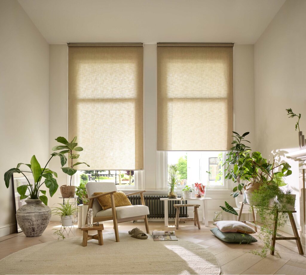 Medium-RB_2464 (1)